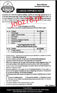 Board Of Revenue Government Of Punjab Pakistan Jobs 2024