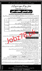 National Rozgar Support Program Punjab Jobs 2024
