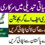 Picsart_24-05-31_11-38-51-364