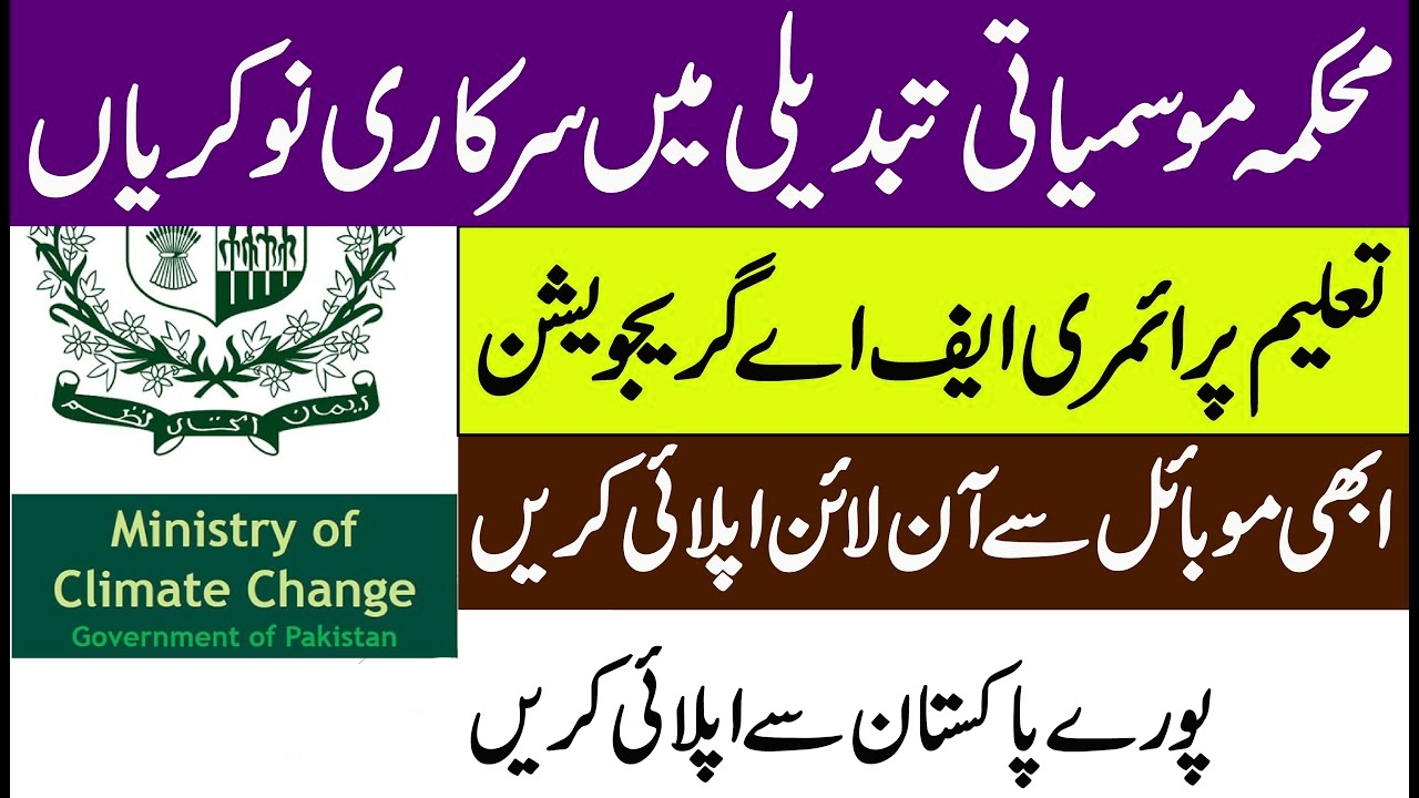 Picsart_24-05-31_11-38-51-364